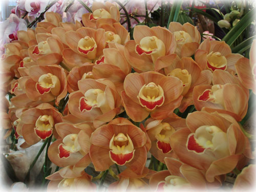 f:id:miyako2226:20121223213333j:image:w450 f:id:miyako2226:20121223213333j:image:w450