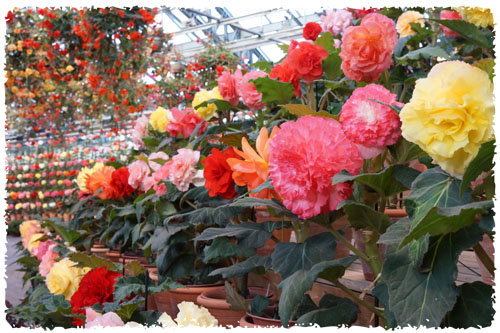 f:id:miyako2226:20121224223237j:image:w500 f:id:miyako2226:20121224223237j:image:w500