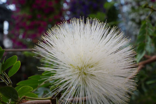 f:id:miyako2226:20121224232140j:image:w500 f:id:miyako2226:20121224232140j:image:w500