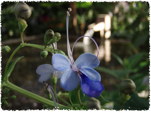 f:id:miyako2226:20121224232639j:image:w500 f:id:miyako2226:20121224232639j:image:w500