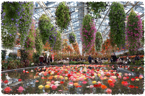 f:id:miyako2226:20121224233418j:image:w500 f:id:miyako2226:20121224233418j:image:w500