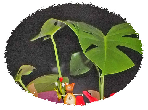 f:id:miyako2226:20121227105945j:image:w450