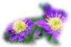 f:id:miyako2226:20121227110347j:image:right