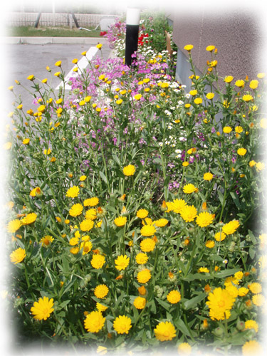 f:id:miyako2226:20130128212643j:image:w250
