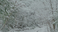 20130209181320