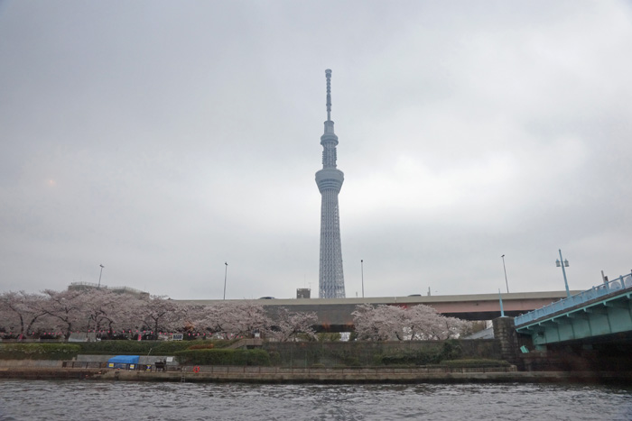 f:id:miyako2226:20130326162500j:image:w550