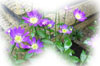 f:id:miyako2226:20130901114619j:image:right