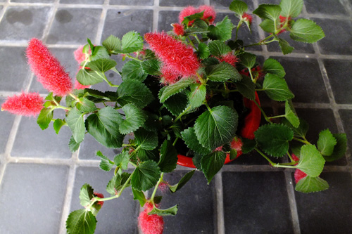 f:id:miyako2226:20131026203910j:image:w500 f:id:miyako2226:20131026203910j:image:w500