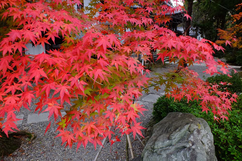 f:id:miyako2226:20131204224645j:image:w500 f:id:miyako2226:20131204224645j:image:w500