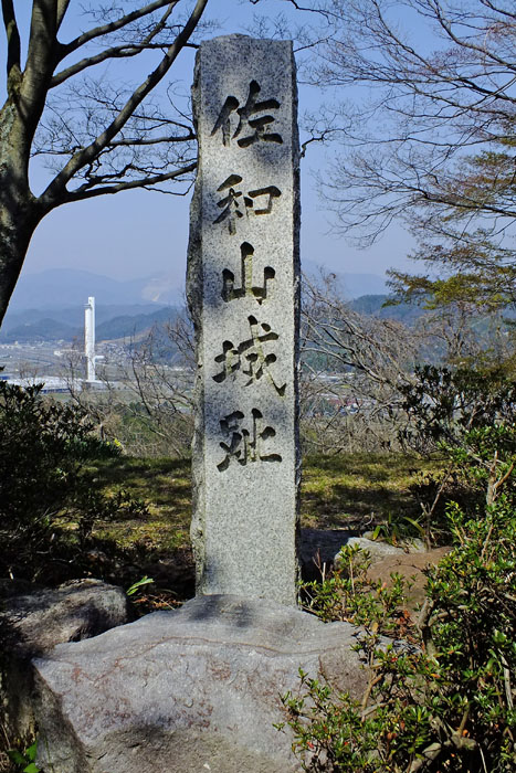 f:id:miyako2226:20140413000005j:image:w450