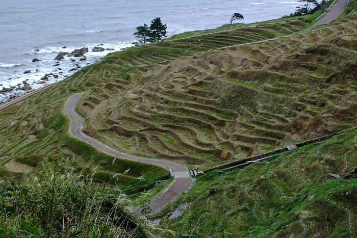 f:id:miyako2226:20141030213602j:image