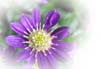 f:id:miyako2226:20141103183344j:image:right f:id:miyako2226:20141103183344j:image:right