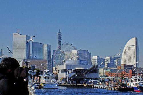 f:id:miyako2226:20150118142446j:image