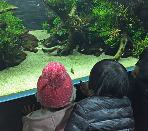 f:id:miyako2226:20150120220945j:image