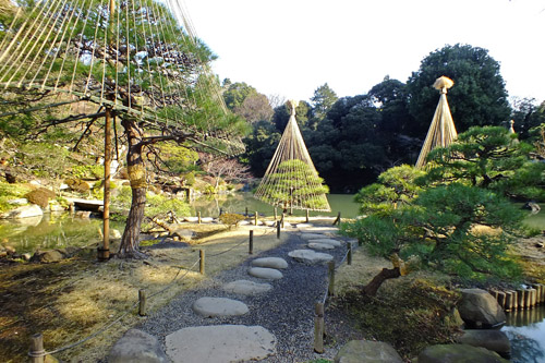 f:id:miyako2226:20150123145142j:image