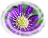 f:id:miyako2226:20150123192631j:image:right