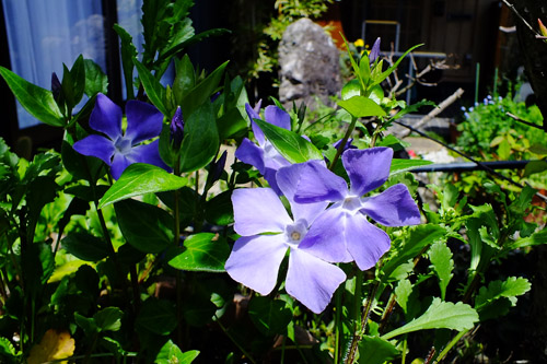 f:id:miyako2226:20150421215438j:image