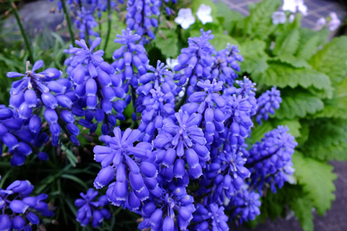 f:id:miyako2226:20150421215520j:image