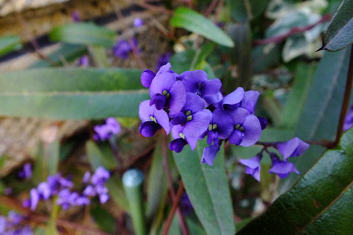 f:id:miyako2226:20150421215554j:image