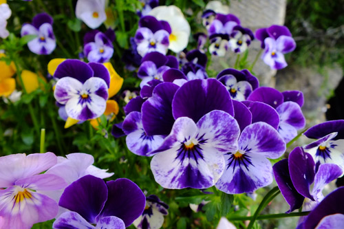 f:id:miyako2226:20150421215809j:image