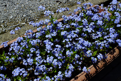 f:id:miyako2226:20150421215838j:image