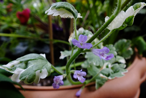 f:id:miyako2226:20150421220158j:image