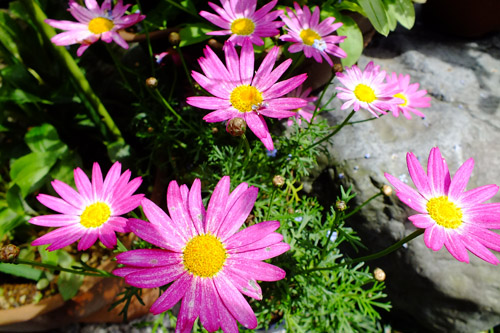 f:id:miyako2226:20150422210125j:image