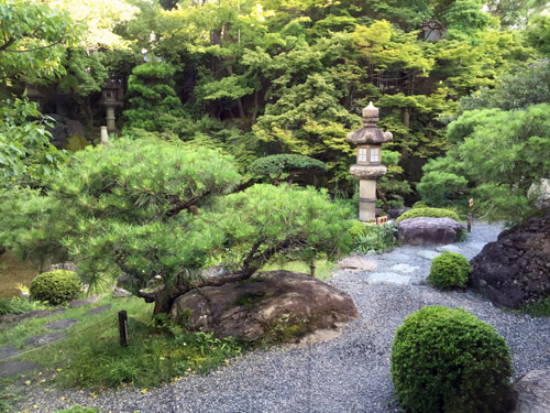 f:id:miyako2226:20150719223735j:image