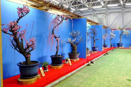 f:id:miyako2226:20160221214312j:image