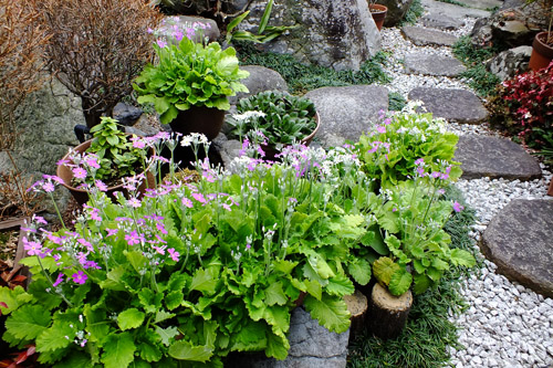 f:id:miyako2226:20160227182427j:image