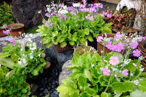 f:id:miyako2226:20160227182457j:image