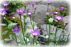 f:id:miyako2226:20160304191131j:image:right