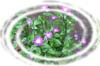 f:id:miyako2226:20161011012100j:image:right