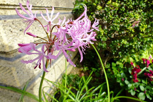 f:id:miyako2226:20161201235438j:image