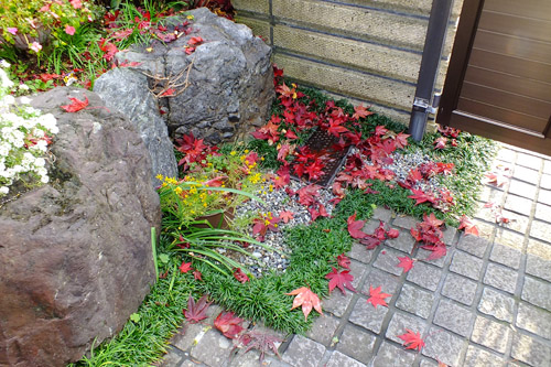 f:id:miyako2226:20161210133234j:image