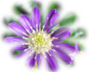 f:id:miyako2226:20170112205116j:image:right