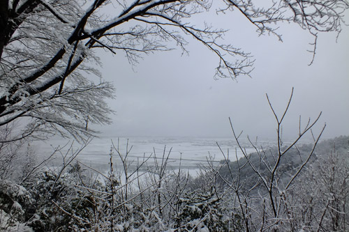 f:id:miyako2226:20170210164336j:image