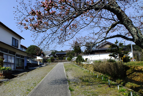 f:id:miyako2226:20170416161058j:image