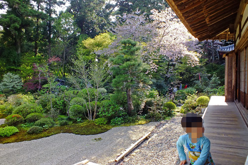f:id:miyako2226:20170416180119j:image