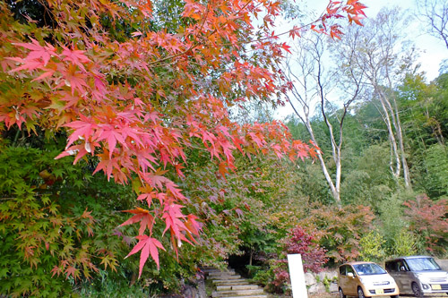 f:id:miyako2226:20171122185040j:image