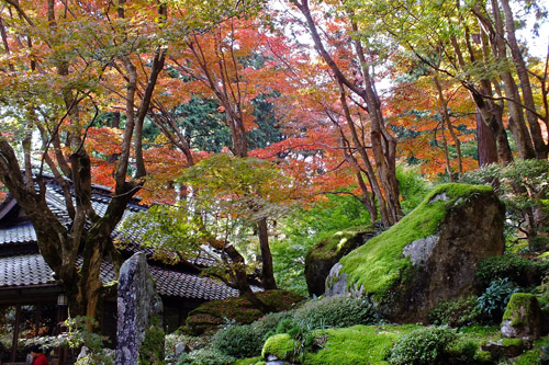 f:id:miyako2226:20171122185747j:image