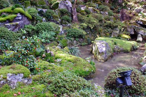 f:id:miyako2226:20171122185916j:image