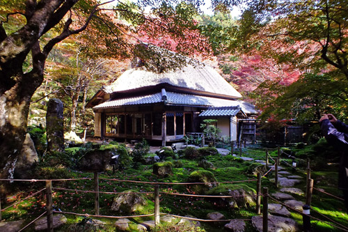 f:id:miyako2226:20171122185941j:image