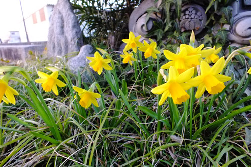 f:id:miyako2226:20180322233509j:image f:id:miyako2226:20180322233509j:image