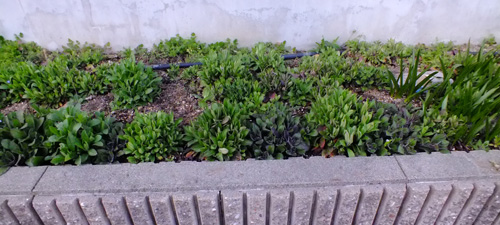 f:id:miyako2226:20180322235026j:image f:id:miyako2226:20180322235026j:image
