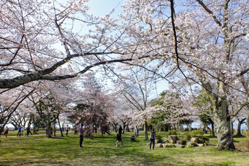 f:id:miyako2226:20180401001304j:image