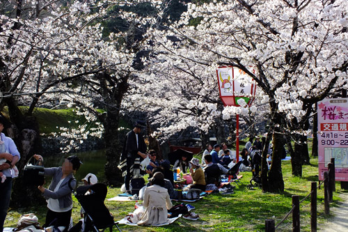 f:id:miyako2226:20180401002255j:image