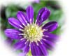 f:id:miyako2226:20180401012232j:image:right