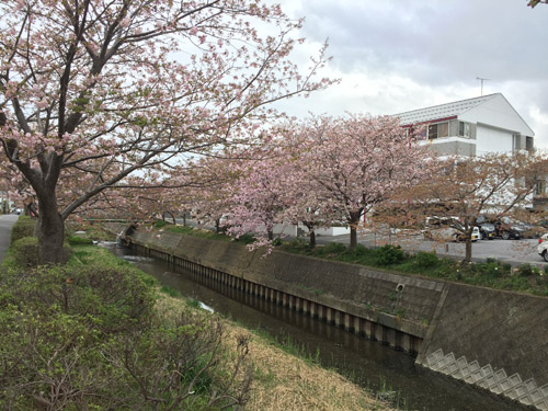 f:id:miyako2226:20180408161841j:image