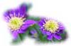 f:id:miyako2226:20180427223501j:image:right